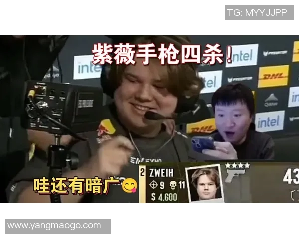 ZEM精英挑战赛引发选手抱怨zweih赛制不公与组织问题亟待解决