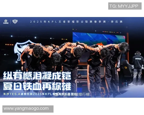 KPL春季赛精彩对决中战胜忆安展现团队默契与实力