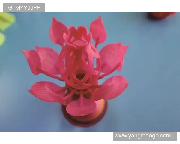 探索诚c瞬镜的神秘世界揭示科技与艺术的完美融合之美 探索诚c瞬镜的神秘世界揭示科技与艺术的完美融合之美