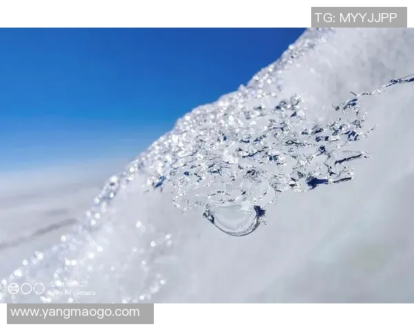 探索LTG阙云小Z的独特魅力与精彩瞬间，带你领略不一样的视角与体验