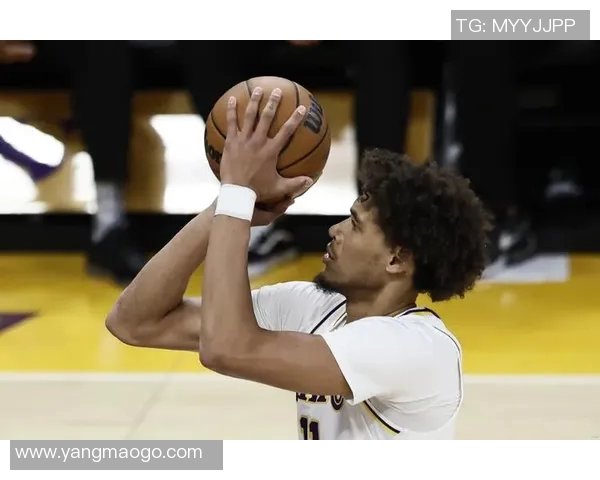 森林狼调整阵容，加强内线实力备战新赛季